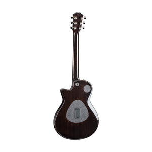 Taylor T5z Pro Electric Guitar w/Case, Gaslamp Black