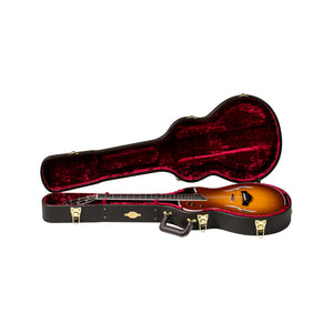 Taylor T5z Standard Electric Guitar w/Case, Honey Sunburst